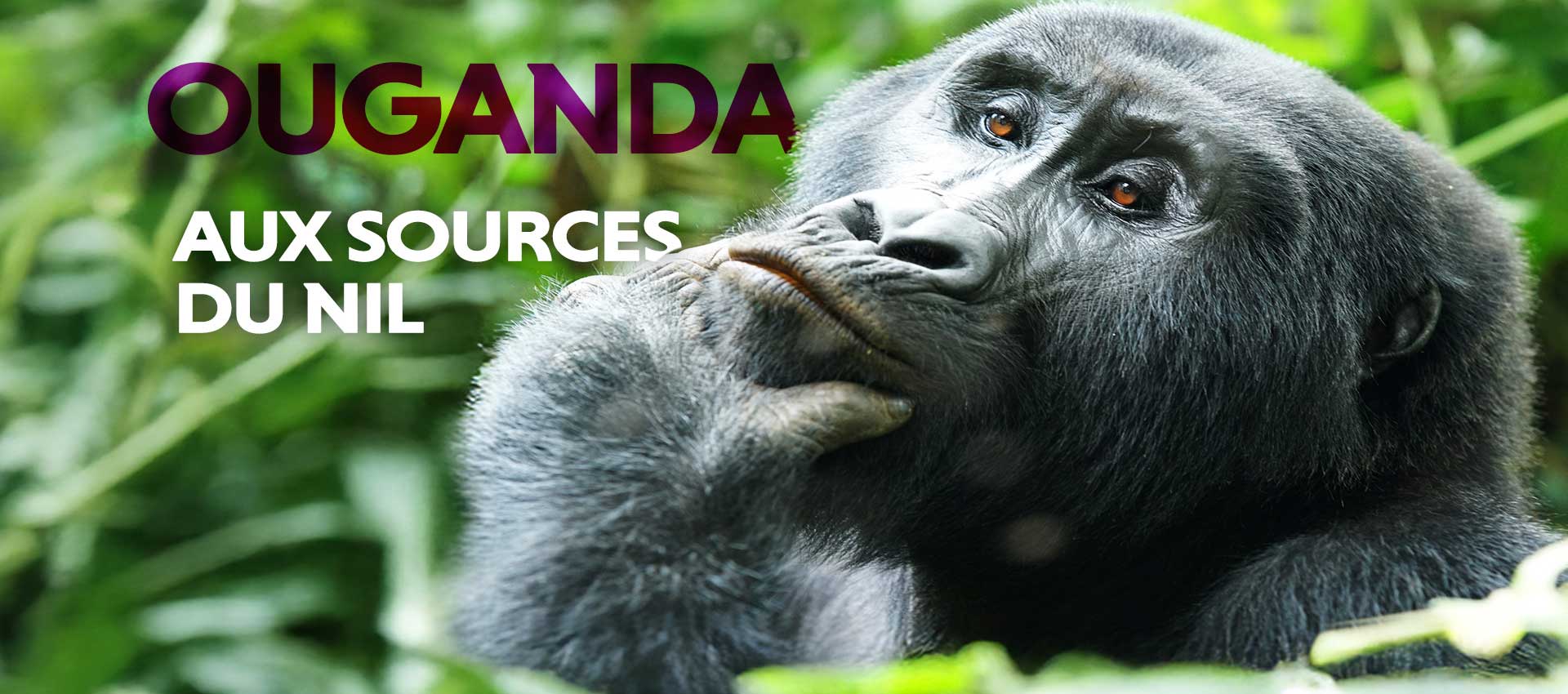 GE Ouganda 1920x850