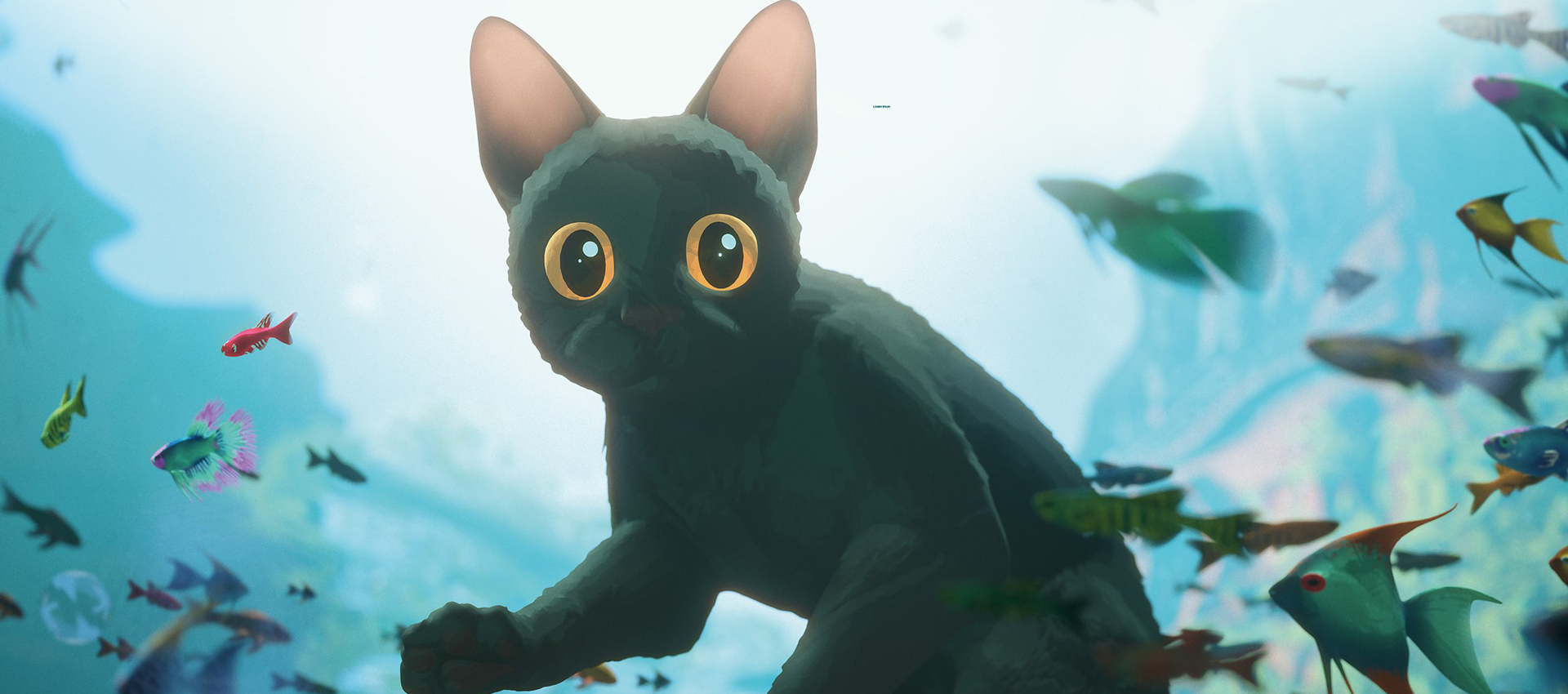 WEB Flow le chat qui n avait plus peur de l eau